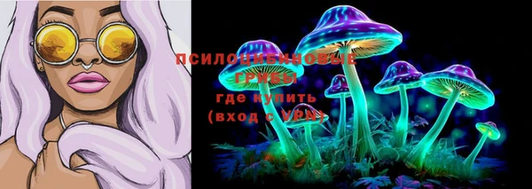скорость Алексин