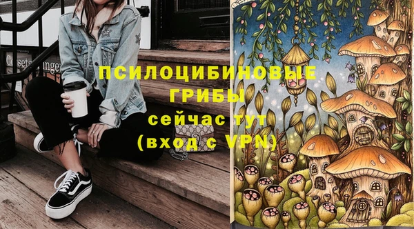 кокс Алексеевка